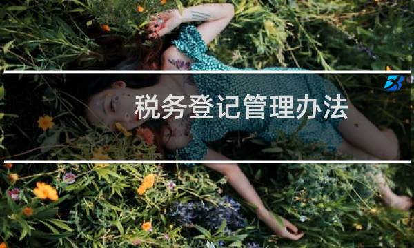 税务登记管理办法图片