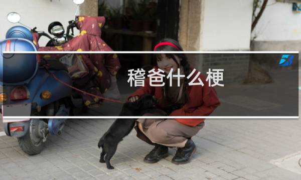 稽爸什么梗