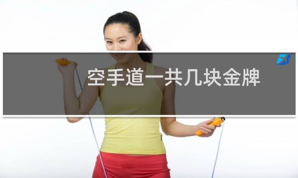 空手道一共几块金牌