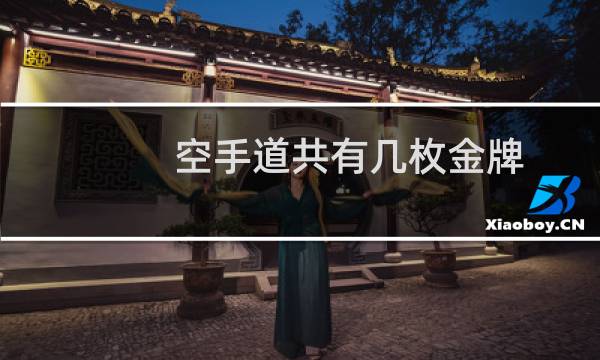 空手道共有几枚金牌
