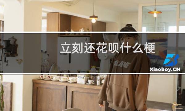 立刻还花呗什么梗
