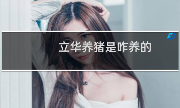 立华养猪是咋养的图片