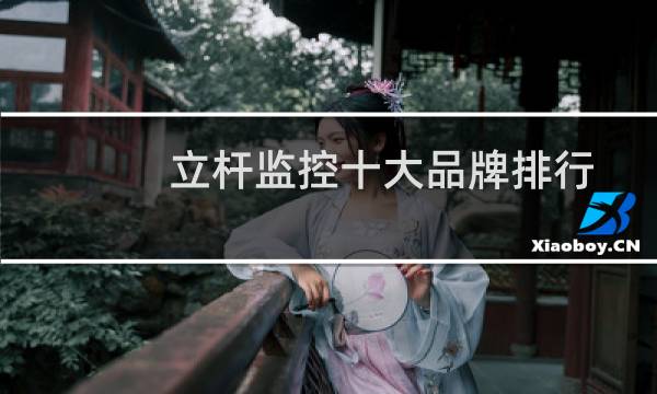 立杆监控十大品牌排行榜