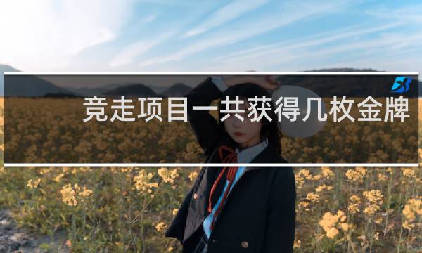竞走项目一共获得几枚金牌
