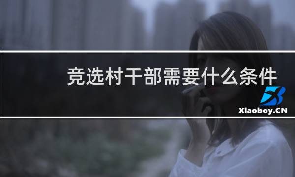 竞选村干部需要什么条件
