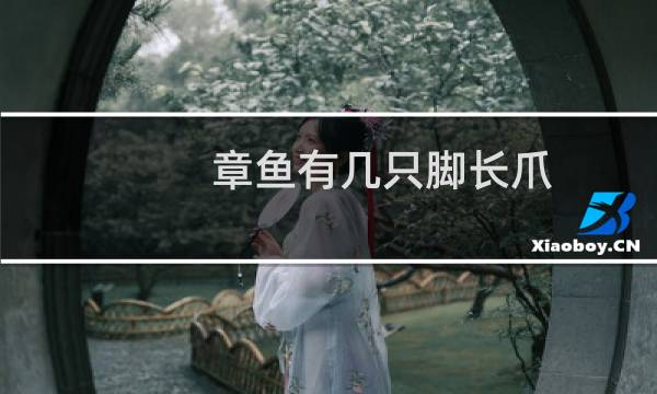 章鱼有几只脚长爪(章鱼有几只脚)