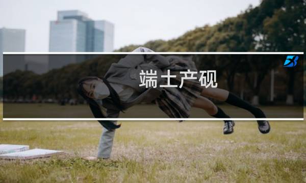 端土产砚