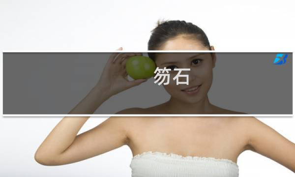笏石