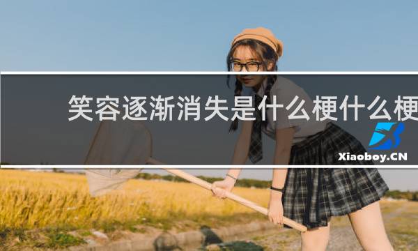笑容逐渐消失是什么梗什么梗