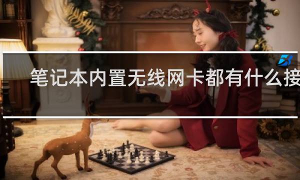 笔记本内置无线网卡都有什么接口