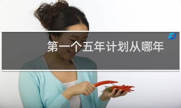 第一个五年计划从哪年开始
