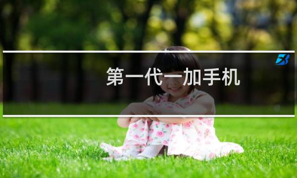 第一代一加手机