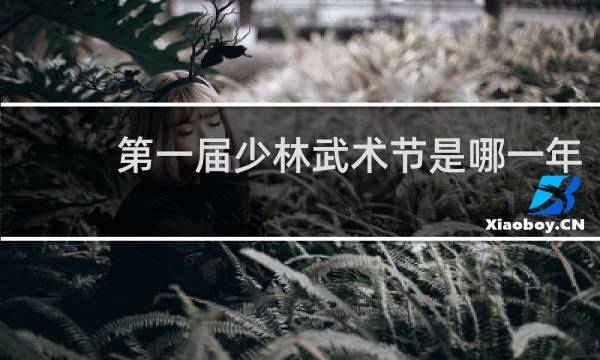 第一届少林武术节是哪一年