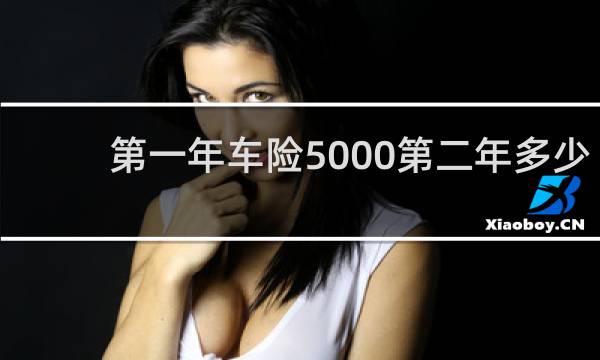 第一年车险5000第二年多少图片