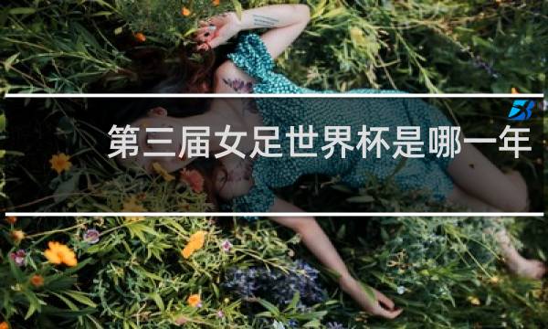 第三届女足世界杯是哪一年
