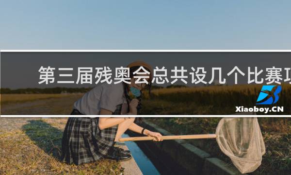 第三届残奥会总共设几个比赛项目