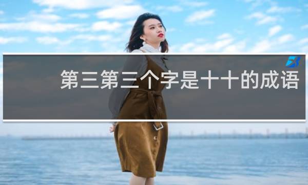 第三第三个字是十十的成语