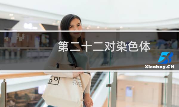 第二十二对染色体（人体中的二十二对染色体）图片