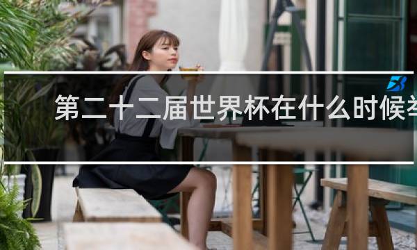 第二十二届世界杯在什么时候举行