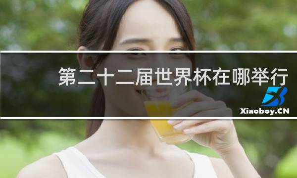 第二十二届世界杯在哪举行