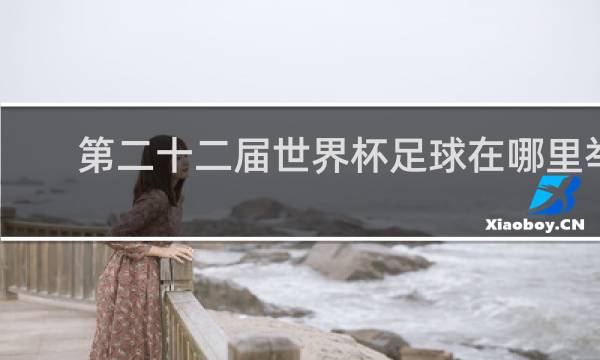 第二十二届世界杯足球在哪里举行