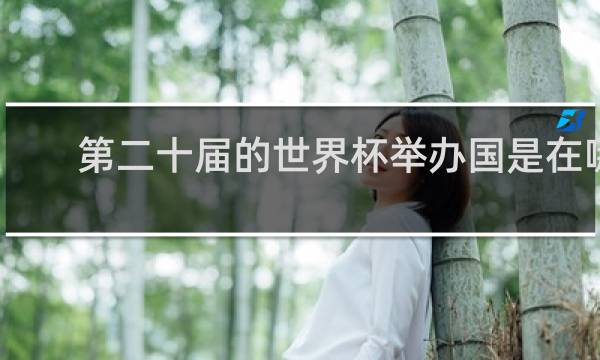 第二十届的世界杯举办国是在哪里