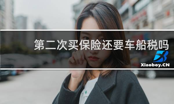 第二次买保险还要车船税吗