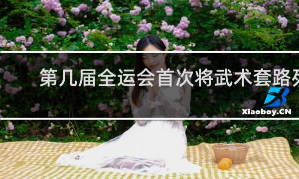 第几届全运会首次将武术套路列为表演赛项目