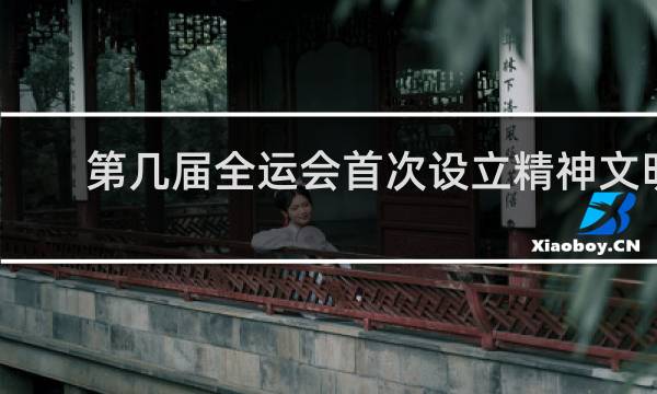 第几届全运会首次设立精神文明奖