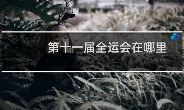 第十一届全运会在哪里