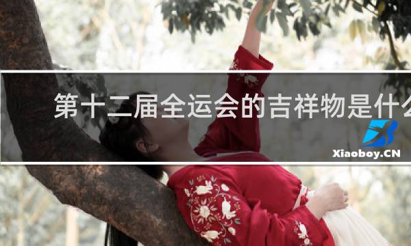 第十二届全运会的吉祥物是什么