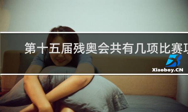第十五届残奥会共有几项比赛项目
