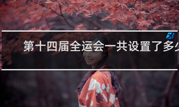 第十四届全运会一共设置了多少个项目