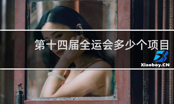 第十四届全运会多少个项目
