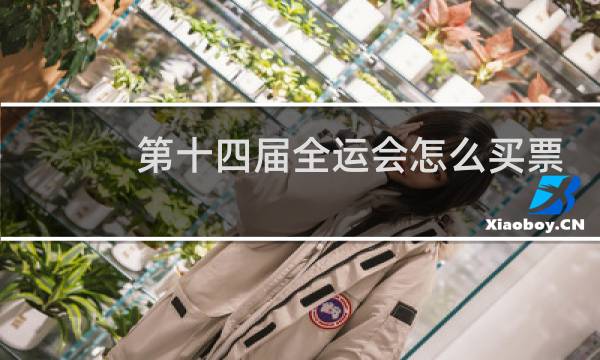 第十四届全运会怎么买票