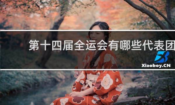 第十四届全运会有哪些代表团