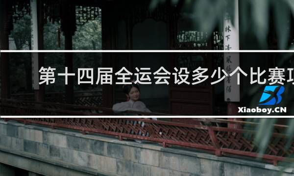 第十四届全运会设多少个比赛项目