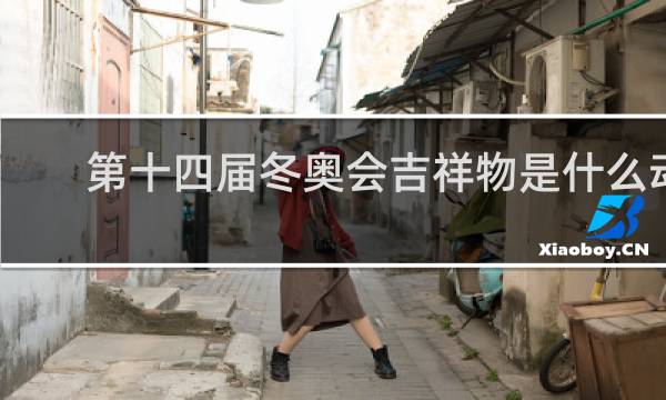 第十四届冬奥会吉祥物是什么动物