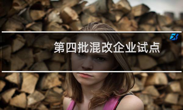 第四批混改企业试点（第四批混改企业名单）