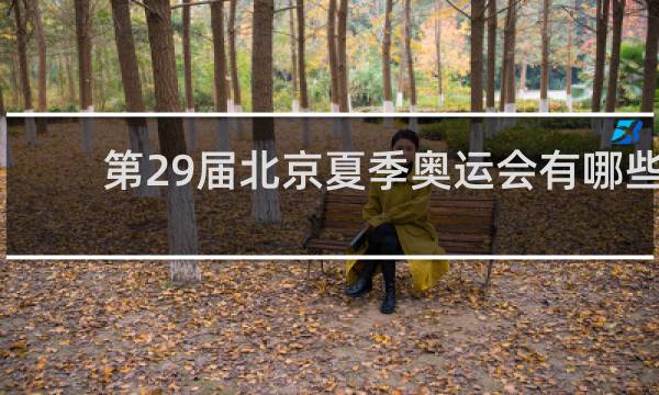 第29届北京夏季奥运会有哪些项目