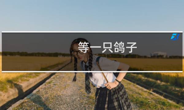 等一只鸽子