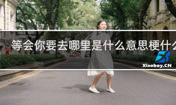 等会你要去哪里是什么意思梗什么梗