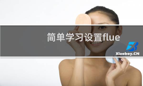 简单学习设置fluent