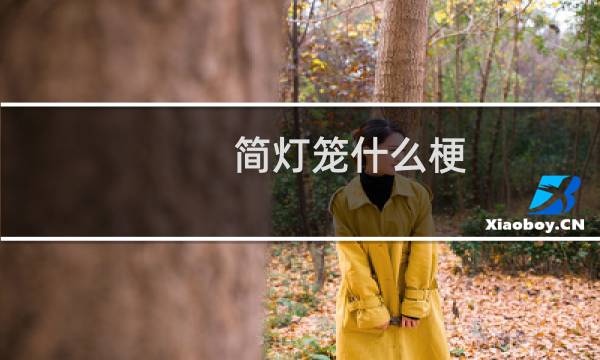 简灯笼什么梗