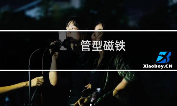 管型磁铁