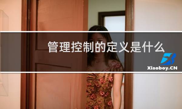 管理控制的定义是什么
