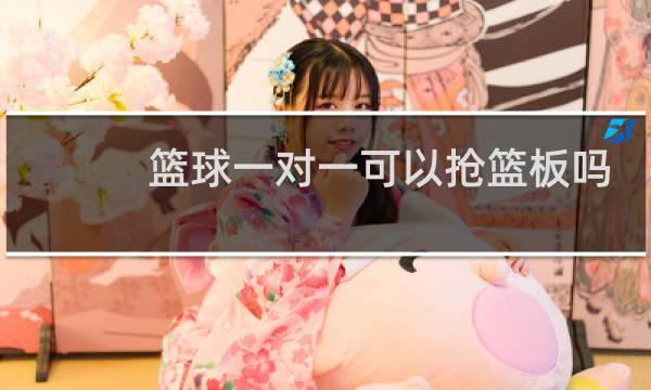 篮球一对一可以抢篮板吗