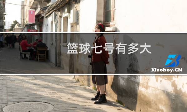篮球七号有多大