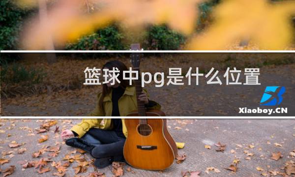 篮球中pg是什么位置