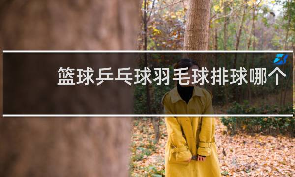 篮球乒乓球羽毛球排球哪个